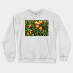 Tulips, Washington State, Nature, gifts, Natural Vibes Crewneck Sweatshirt